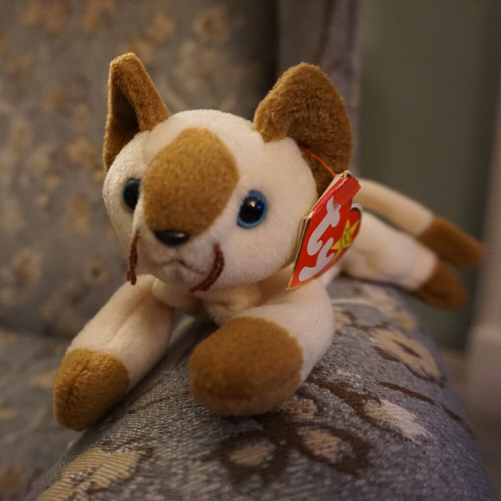 TY BEANIE BABY "SNIP" 🐱